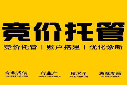 SEM托管服务案例分析：优化广告效果，降低成本